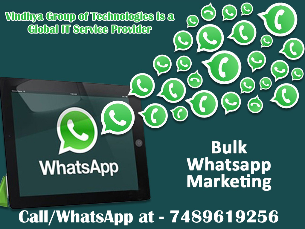 Bulk SMS Provider in Rewa